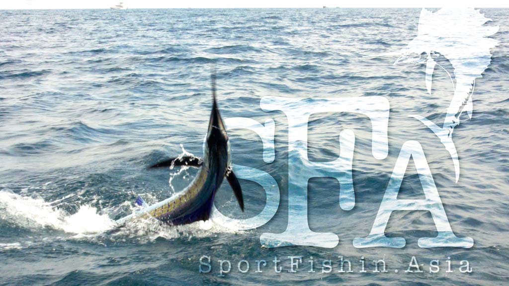 Recent Guests and Their Sailfish Catch