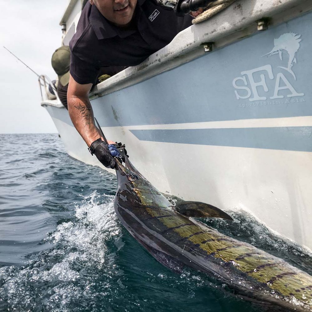 Choppy Seas, Fighter Jets, Stickbaits – Fishing with Pierre Boulus and friends