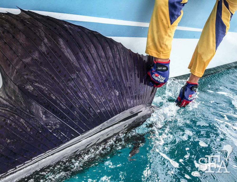 Successful Sailfish Trip for New Zealanders Judith and Steve – Their First Visit to Kuala Rompin