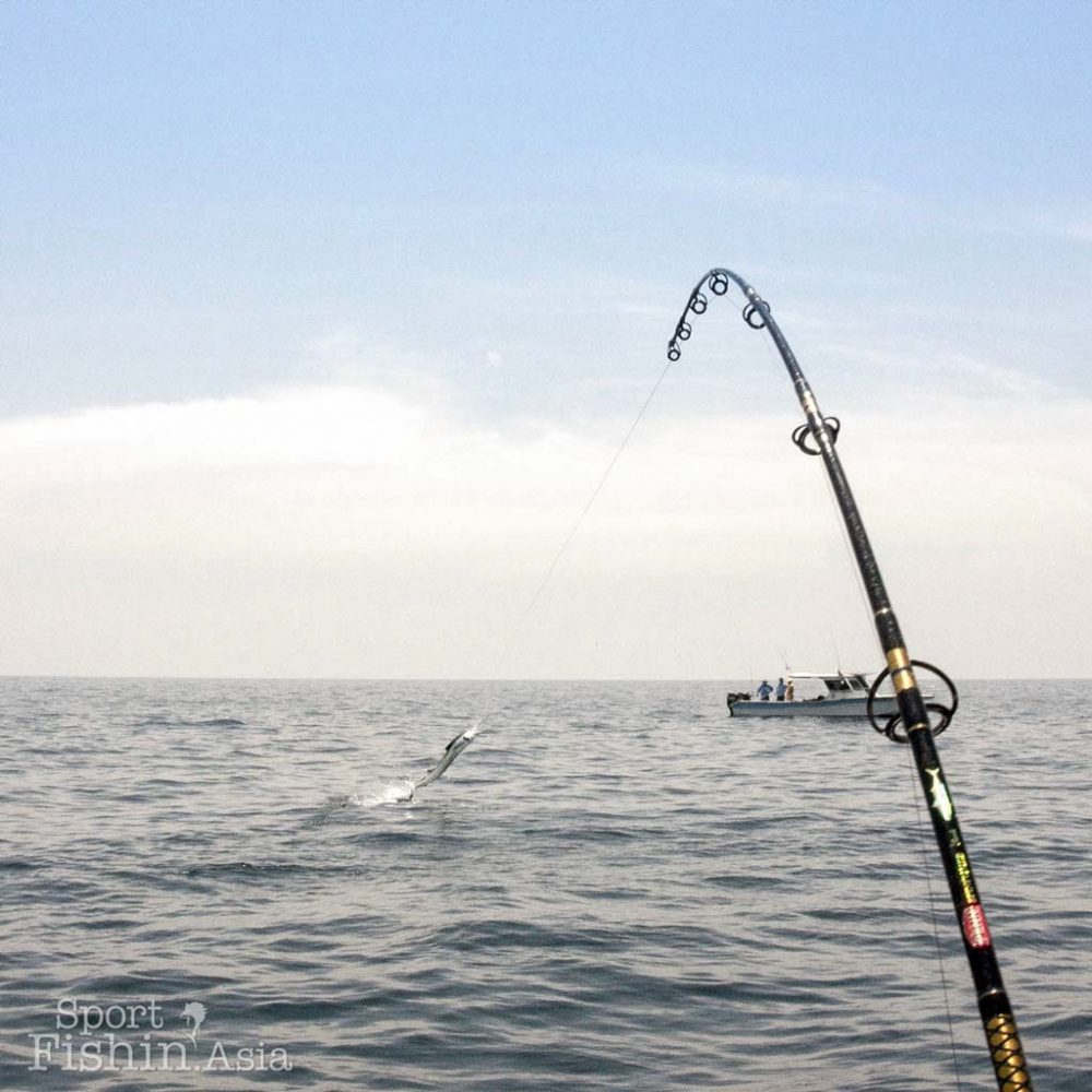 Squid Jiggas and the Sailfish of Rompin – Day 1 of 4