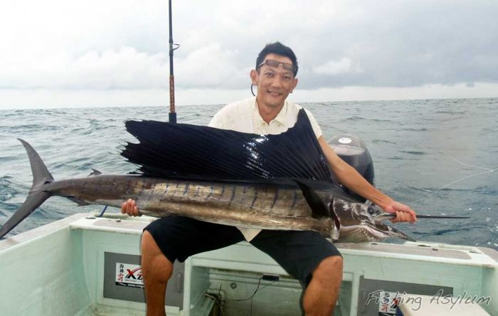 Monsoon Sailfish