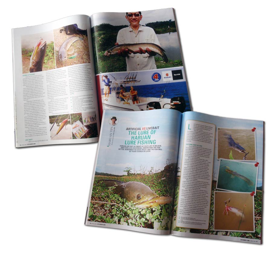 Stop Press: My First Article to Go on Print!