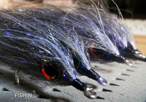 Streamer Flies for Arapaima Fishing: Go get ’em boys!