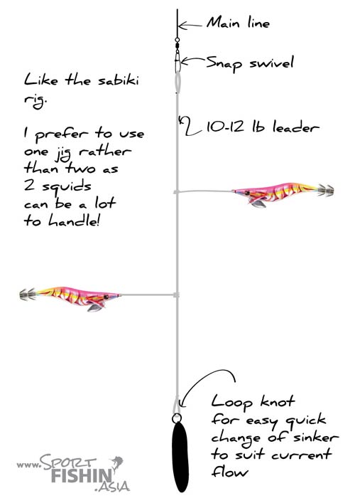 Squid Fishing How To - Squidding or Egi - Sport Fishing Asia