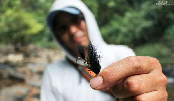 Thai Mahseer Straightens Hook [video]