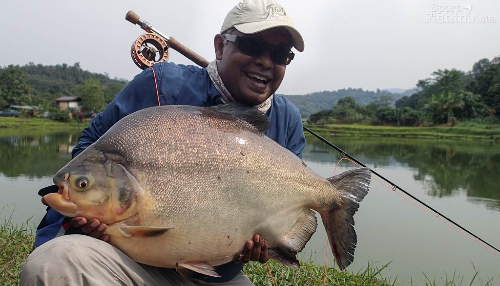 what-is-better-than-catching-one-giant-pacu-sport-fishing-asia