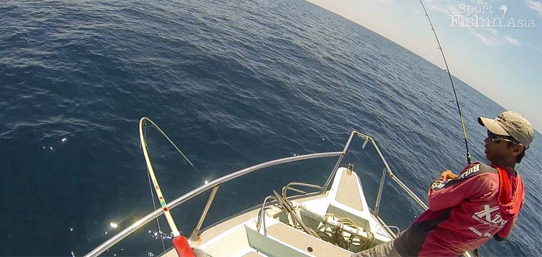 Light jigging spanish mackerel at Kuala Rompin [video] - Sport Fishing Asia