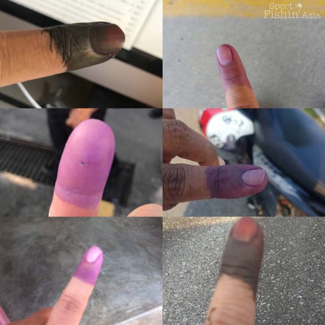 Fishing for Vote for Fishing