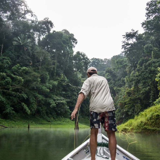 In His Own Words – Fly Fishing Sebarau and Giant Snakehead in Royal Belum Temenggor