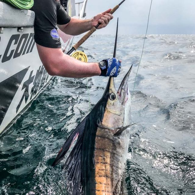 Family Trio From South Island New Zealand Gets It Right In July