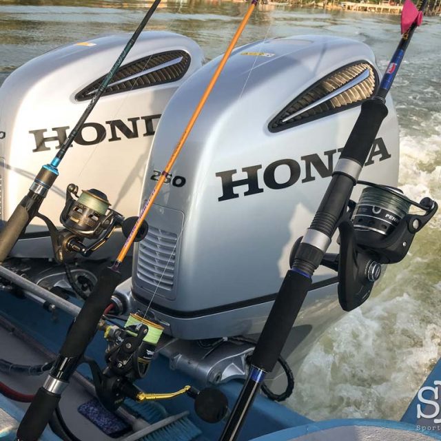 PENN Pursuit 3 Reel and Sailfish