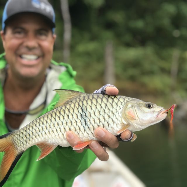Royal Belum 2 days fishing and houseboat stay experience for our FFI guests | Video