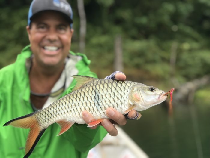Royal Belum 2 days fishing and houseboat stay experience for our FFI guests | Video