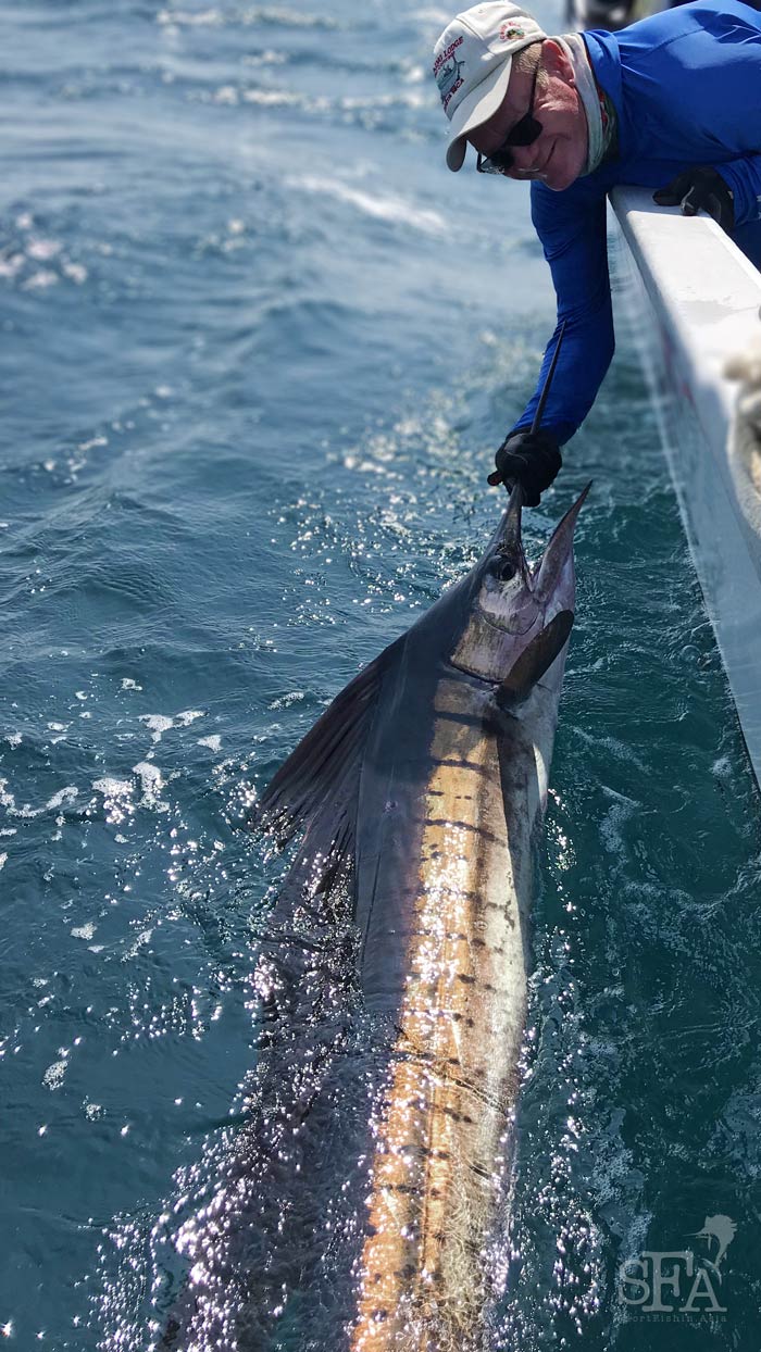 Mark swimming his rompin sailfish next to the boat