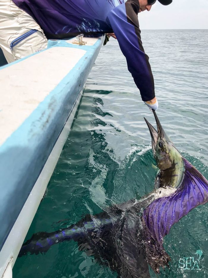 Barry holding a lit up sailfish