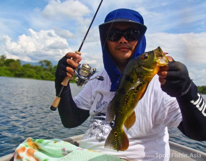 Peacock Bass Fishing