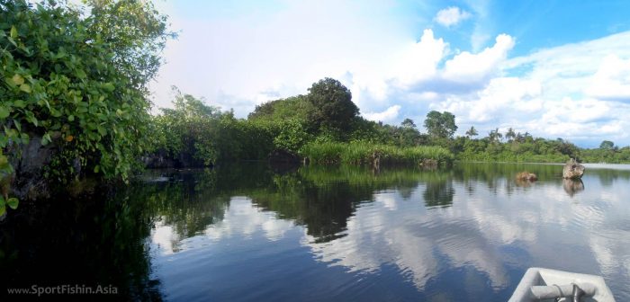 Beautiful Pond