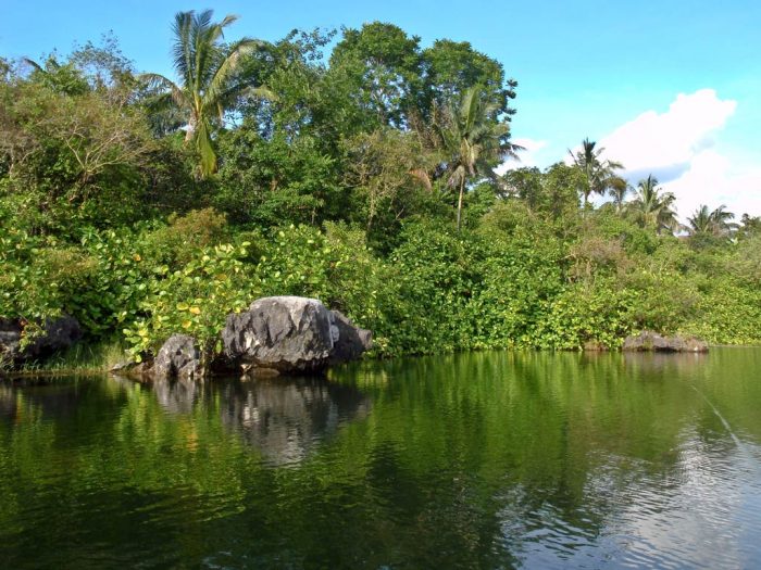 Beautiful Pond