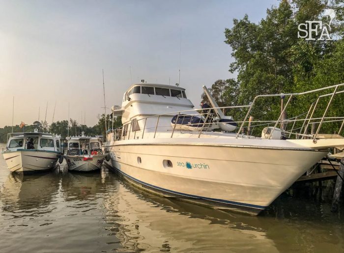 First morning at the Rompin dock