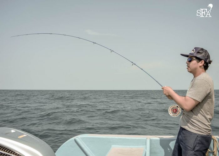 The Sage Motive rod and Nautilus Silver King reel in action