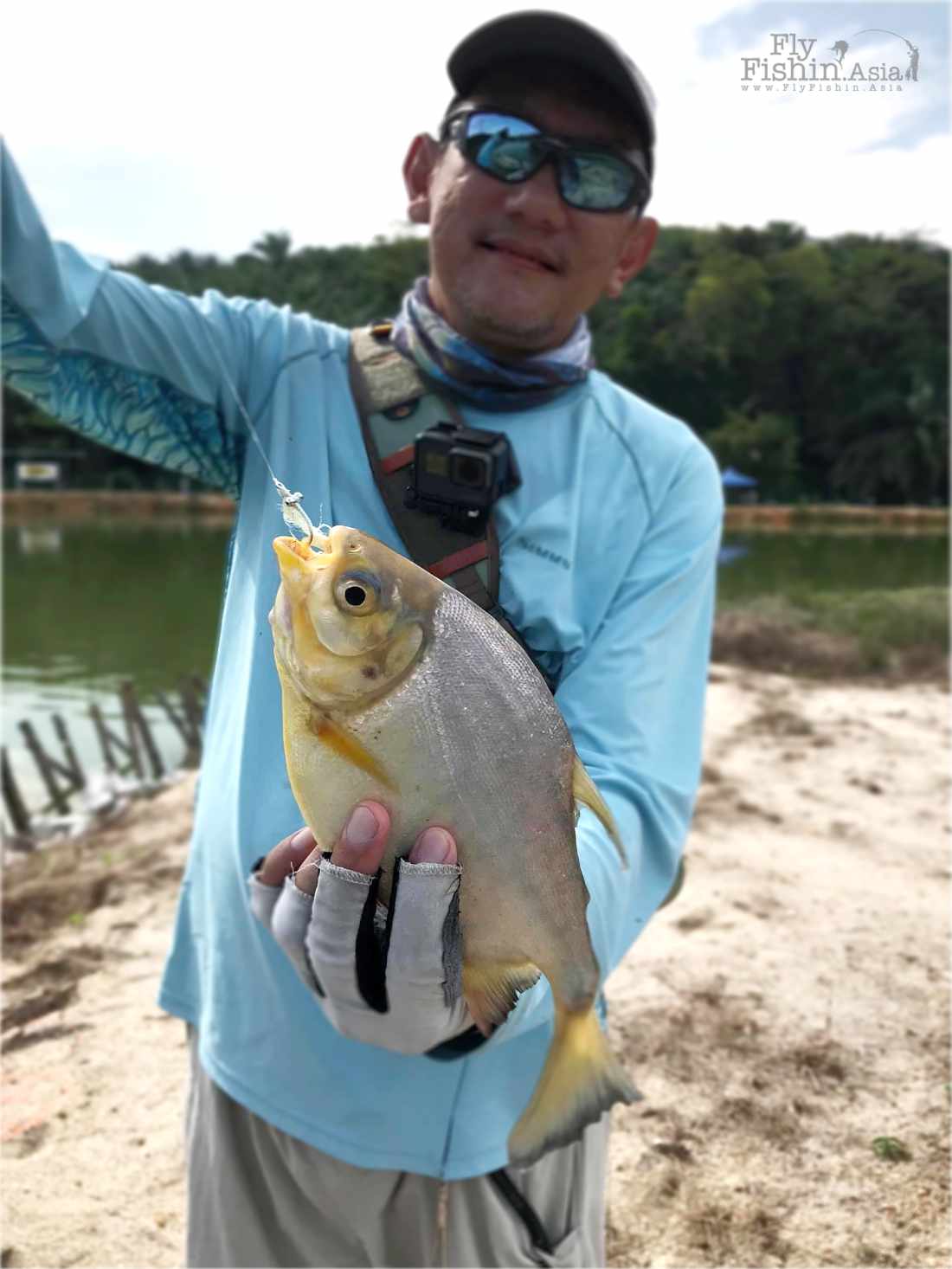 Rock Island Fishing Pond SP (Simpang Pulai) — Sport Fishing Asia