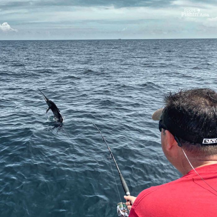 More jumps from this sailfish