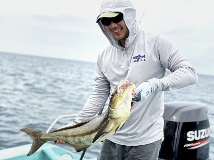 Sing with a nice and his first ever cobia that put up a good fight