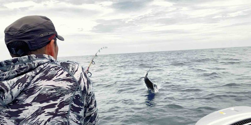 Rompin sailfish fishing action