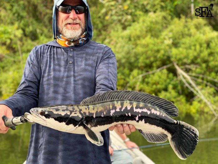 Final fish at the last moment makes a happy ending