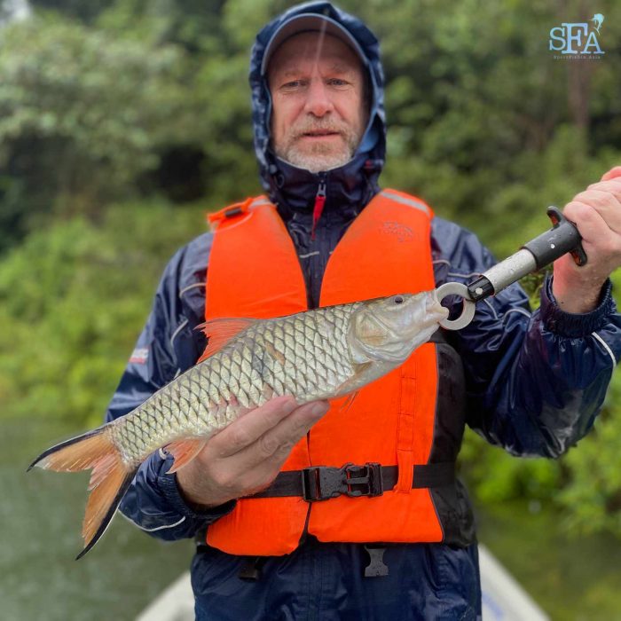 Warren hits a nice sebarau (hampala barb) early in the day