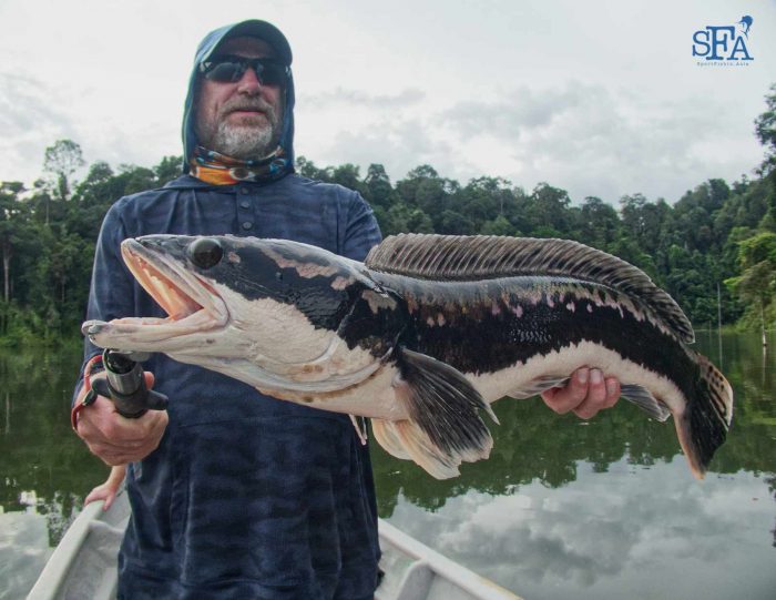 A nice big giant snakehead for Warren