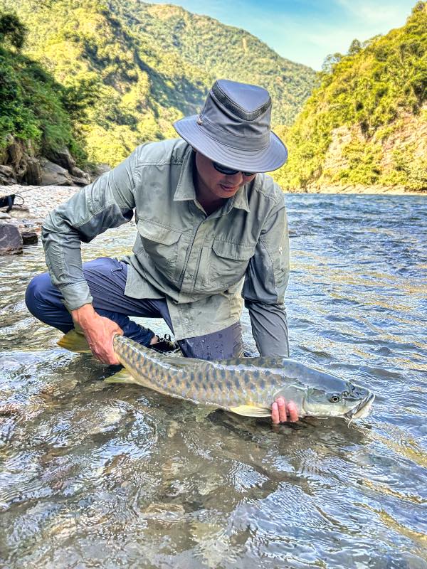 golden_mahseer_bhutan_fly_fishing_M